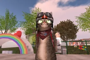 昔の友達その3・猫ちゃん