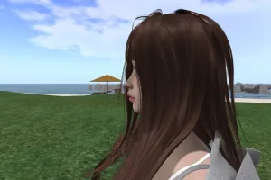 横顔美人の調整