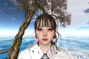 フォトツールの視野角を調整