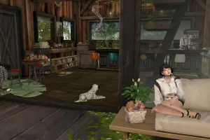 癒されるカフェ