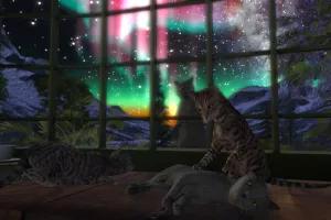 綺麗なオーロラと猫