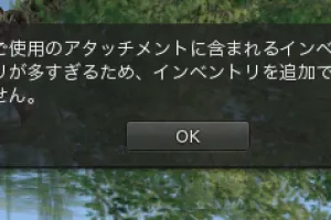 リンデンに制限値を確認中