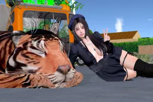 眠ったminiToraちゃんを撮影
