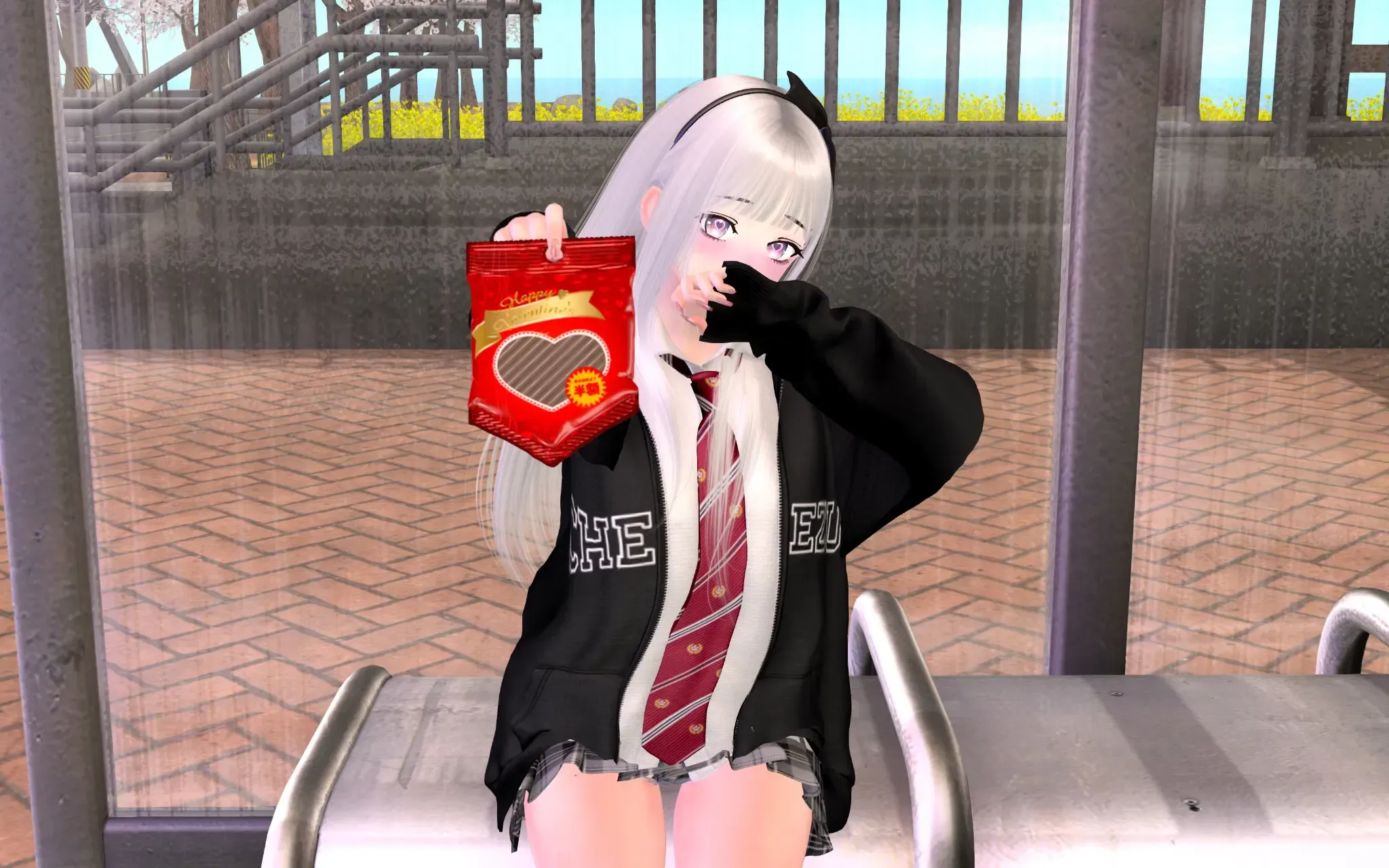 写真