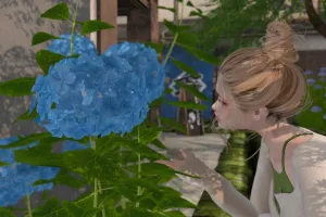 紫陽花の季節をSLで満喫